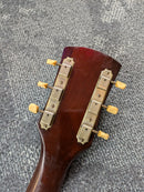 Kay K6440 Archtop Guitar c1968 Natural *Modified*