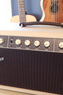 Fender Vibro-King 60W HEAD & 2 CABS - Blonde/Oxblood- USED