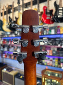 Seagull Entourage Autumn Burst -