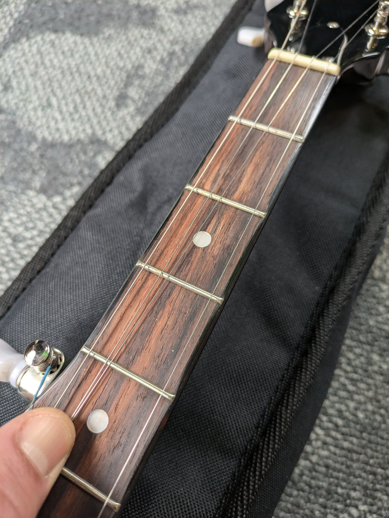 Fender FB300 5-String Banjo w/Gig Bag