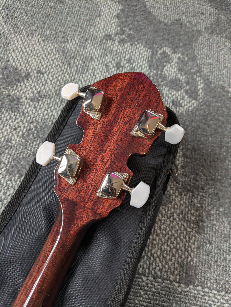 Fender FB300 5-String Banjo w/Gig Bag