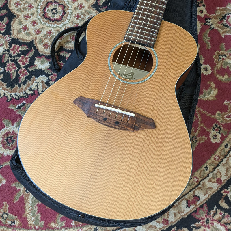 Breedlove Atlas Series C20 Passport Travel Acoustic Guitar 2007 w/Breedlove Bag