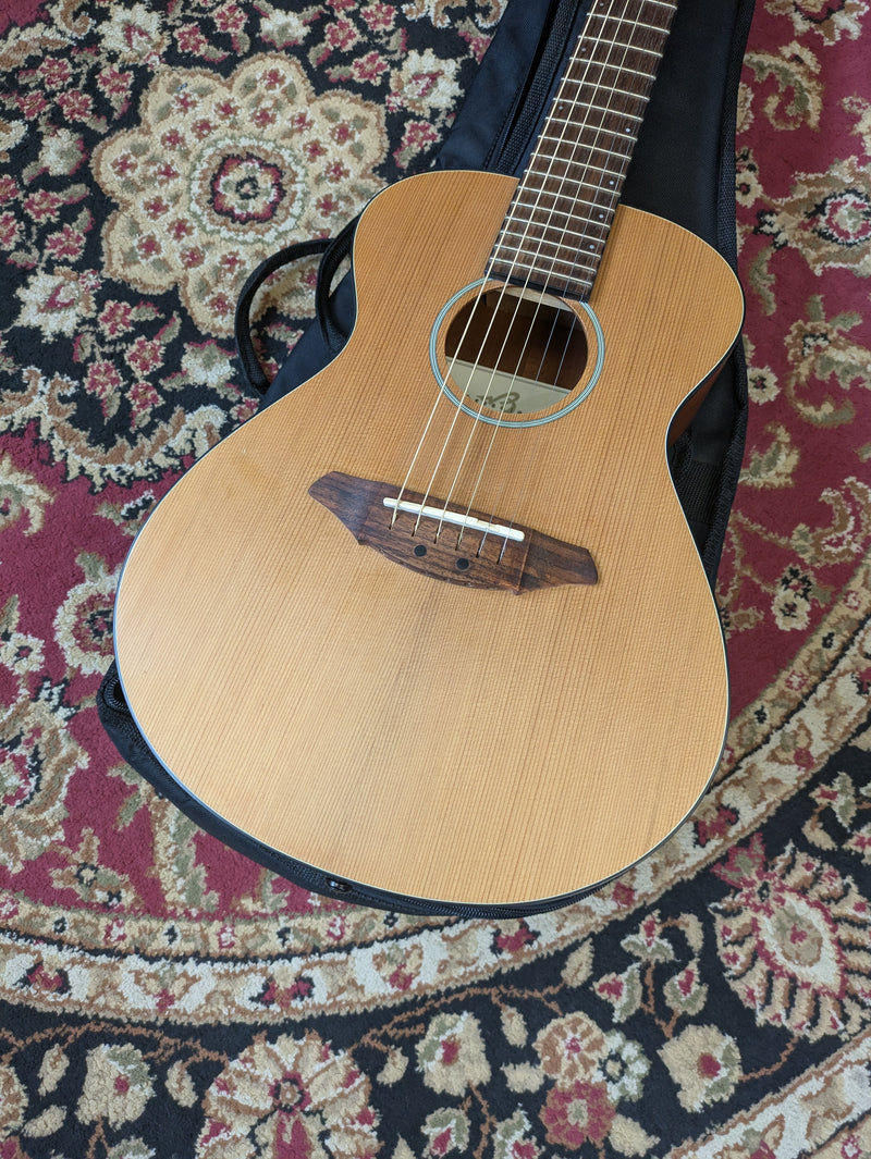 Breedlove Atlas Series C20 Passport Travel Acoustic Guitar 2007 w/Breedlove Bag