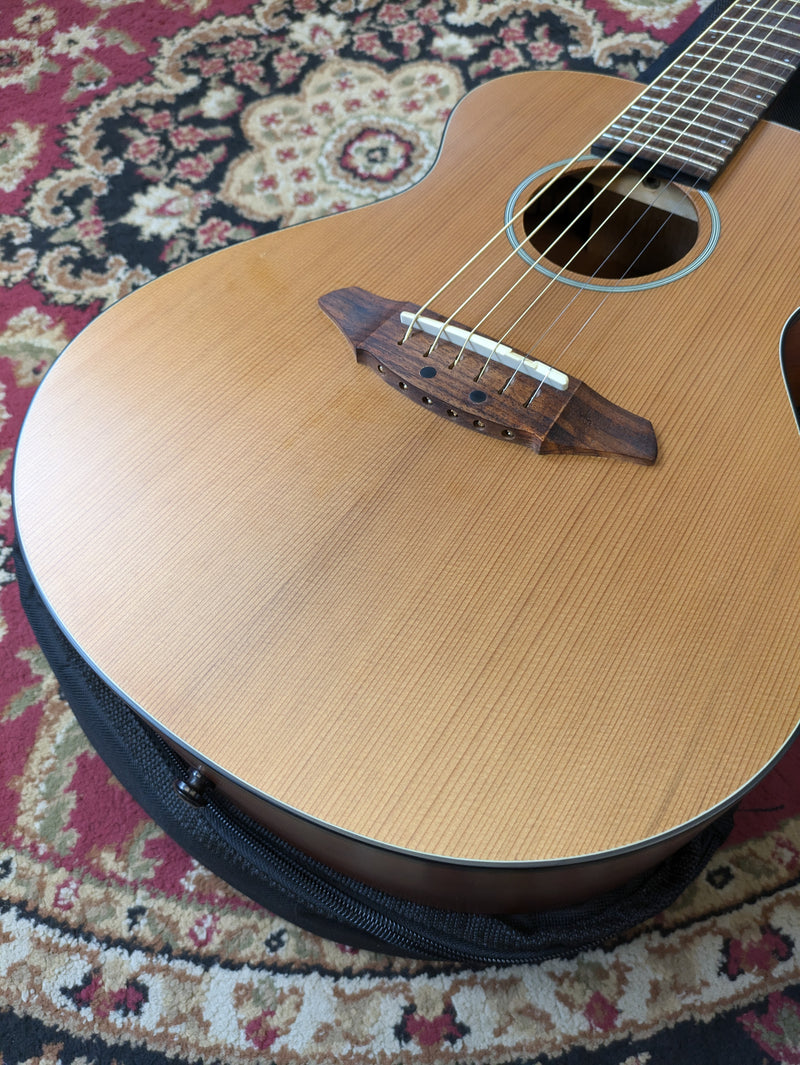 Breedlove Atlas Series C20 Passport Travel Acoustic Guitar 2007 w/Breedlove Bag