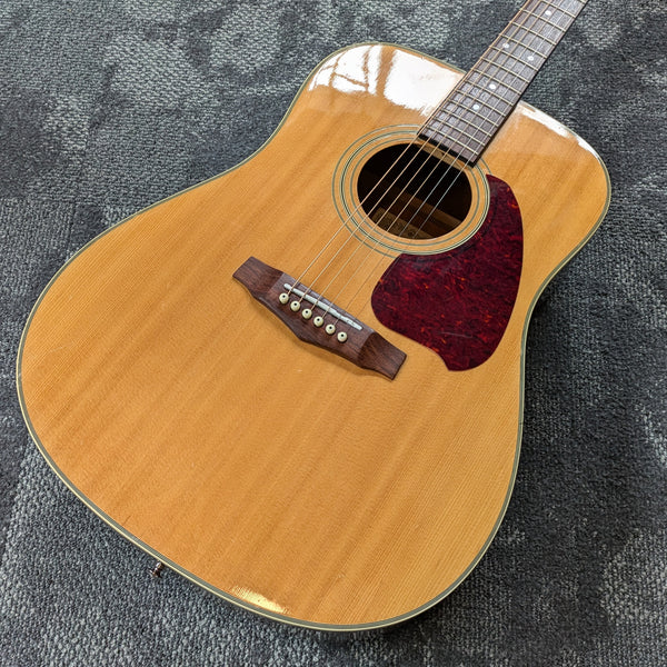 Ibanez PF10 Dreadnought Acoustic 1997 Natural (Korea) #E70103417