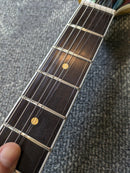 Reeve Gabrels Spacehawk Supreme Semi-Hollow Electric Guitar Venetian Gold