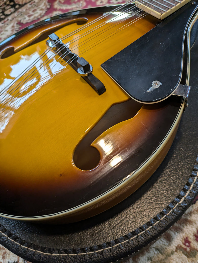 Johnson MA-100 Mandolin Sunburst w/Case