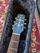 Iris DF Acoustic Guitar Satin Sunburst w/TKL Case