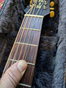 Iris DF Acoustic Guitar Satin Sunburst w/TKL Case