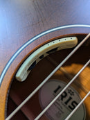 Iris DF Acoustic Guitar Satin Sunburst w/TKL Case