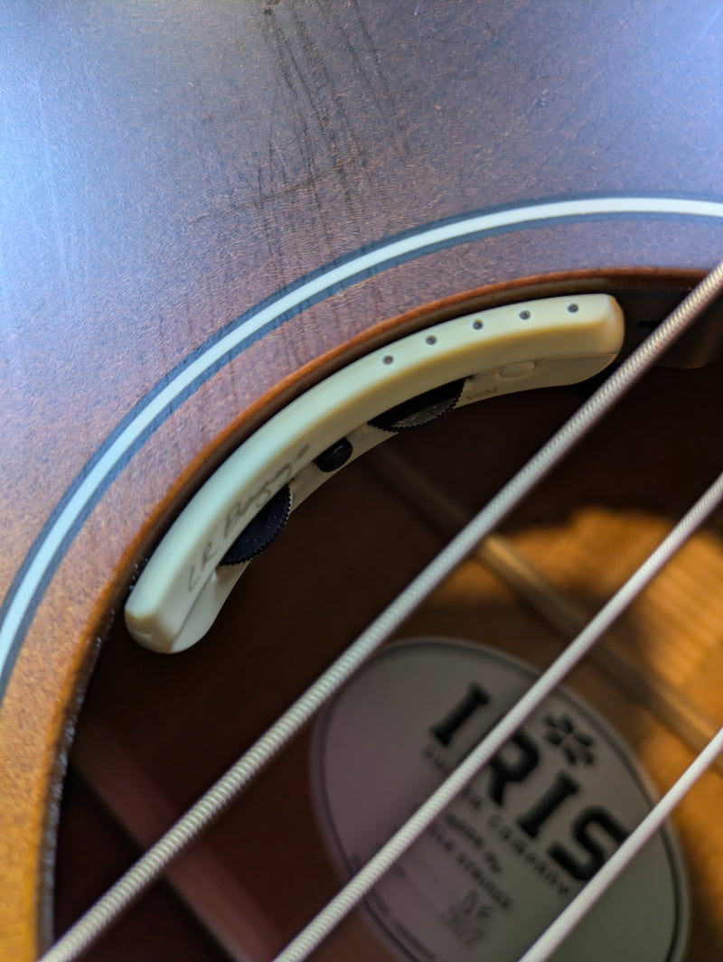 Iris DF Acoustic Guitar Satin Sunburst w/TKL Case