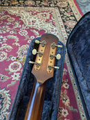 Iris DF Acoustic Guitar Satin Sunburst w/TKL Case