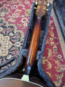 Iris DF Acoustic Guitar Satin Sunburst w/TKL Case