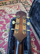 Iris DF Acoustic Guitar Satin Sunburst w/TKL Case