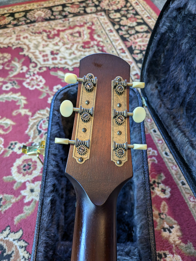 Iris DF Acoustic Guitar Satin Sunburst w/TKL Case