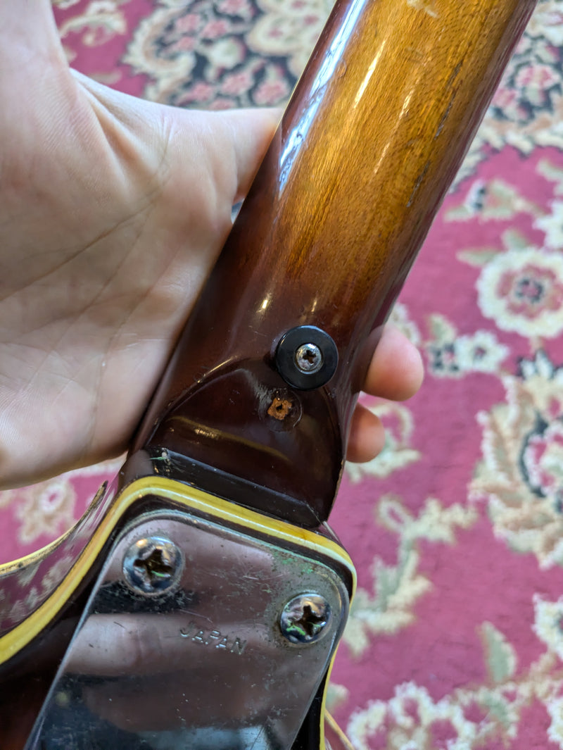 Greco GCB30 Violin Bass 1970s Sunburst (Japan)