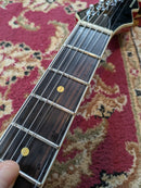 Reverend Reeves Gabrels Spacehawk Semi-Hollow Electric Guitar Metallic Red