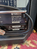 Yamaha Stagepas 300 Portable PA System