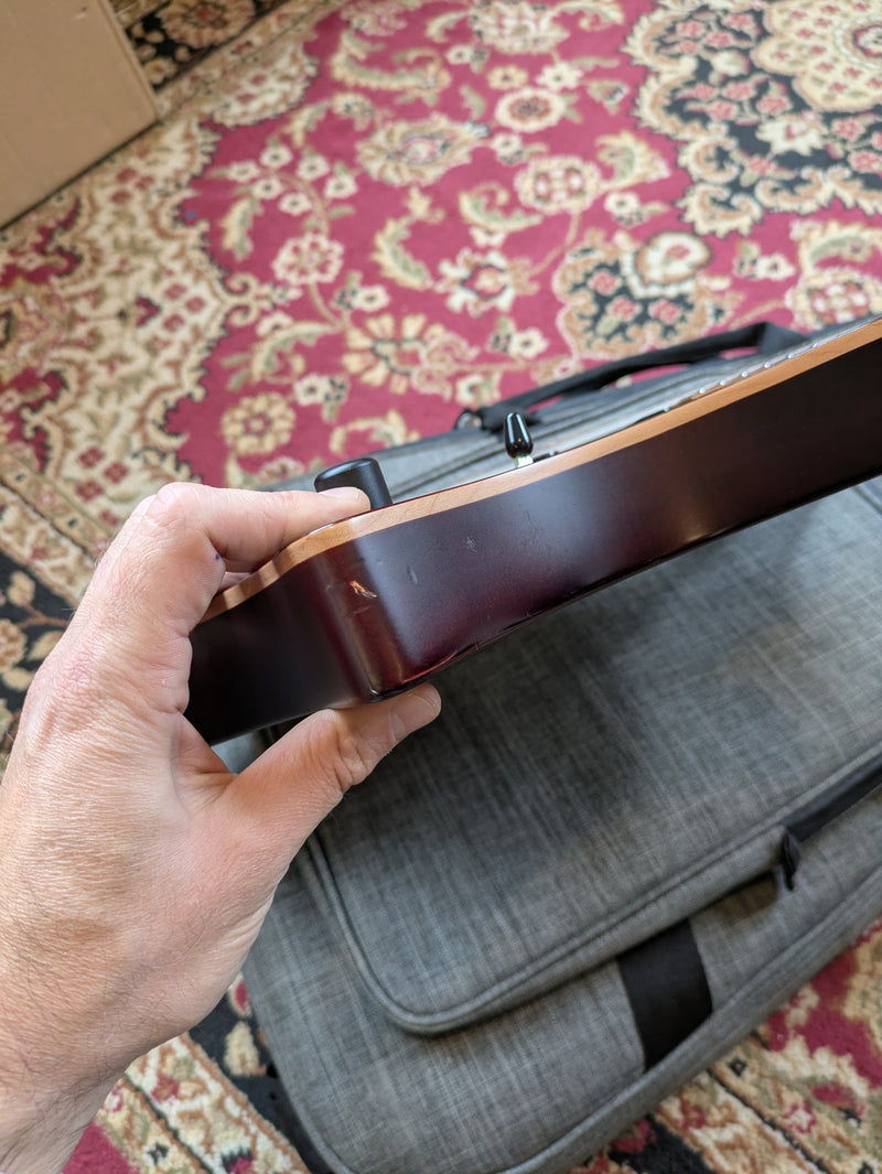 Strandberg Boden Standard 6 Tremolo 2020 Bengal Burst w/Gig Bag