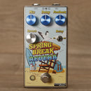 Summer School Electronics Spring Break Reverb