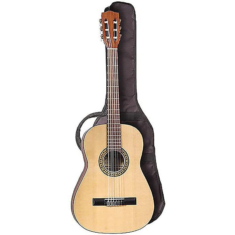 J. Reynolds 36" Student Nylon String Classical Guitar w/Gig Bag (JR15N-A-U)