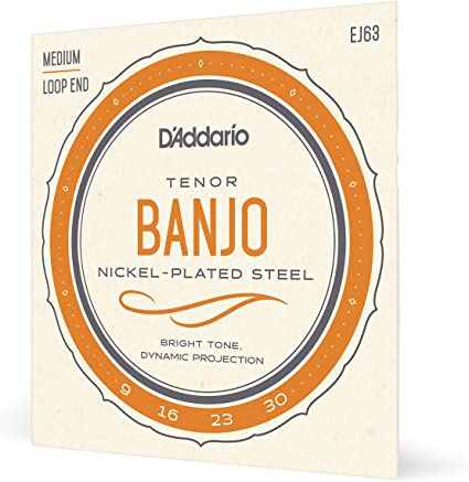 D'Addario EJ63 Tenor Medium Nickel-Plated Banjo Strings Loop End