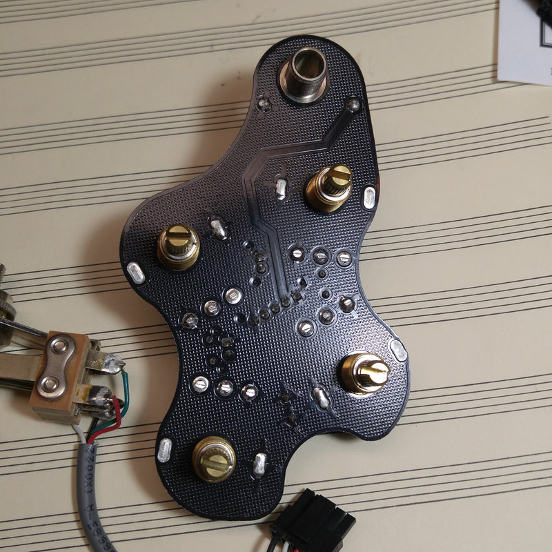 Gibson SG Control Assembly 2008
